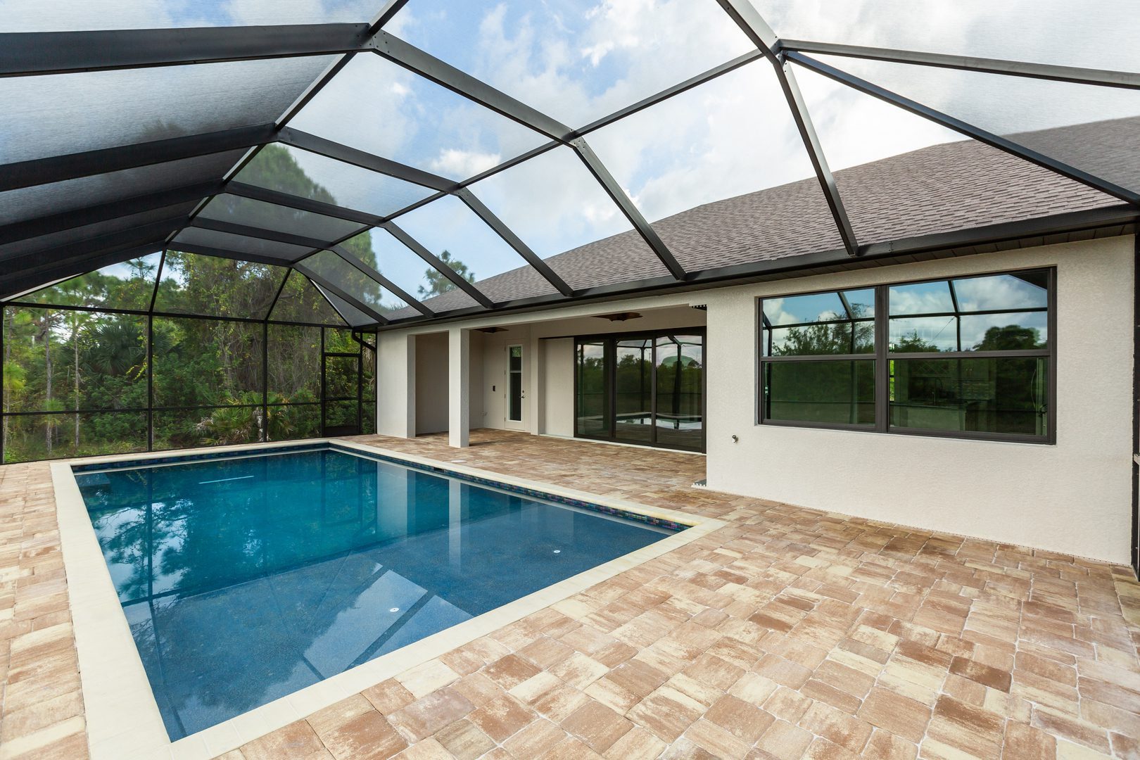 Palmetto 8